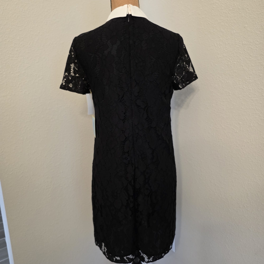 CeCe Black Lace Mini Dress with White Collar - Picture 3 of 5
